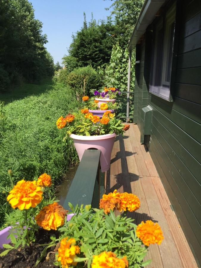 Gardenhouse Mariposa Villa Badhoevedorp Eksteriør bilde